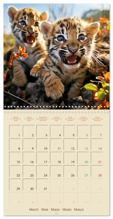 Let's go on Safari - Animal babies in Africa (CALVENDO Monthly Calendar 2027)