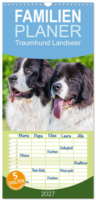 Traumhund Landseer (CALVENDO Familienplaner 2027)