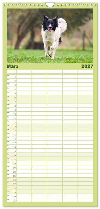 Fröhliche Hunde (CALVENDO Familienplaner 2027)