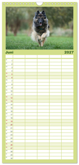 Fröhliche Hunde (CALVENDO Familienplaner 2027)