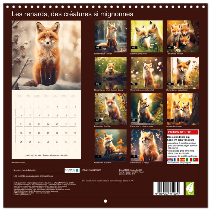 Les renards, des créatures si mignonnes (CALVENDO Calendrier mensuel 2027)