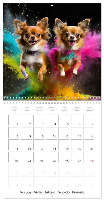 Dynamic Duo - Two Paws, One Leap (CALVENDO Monthly Calendar 2027)
