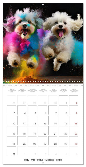 Dynamic Duo - Two Paws, One Leap (CALVENDO Monthly Calendar 2027)