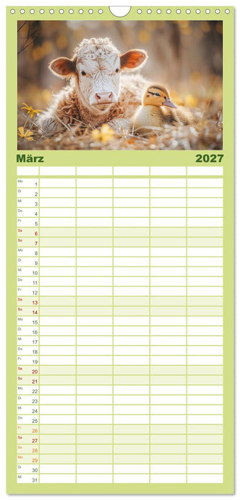 Schottische Hochland Rinder (CALVENDO Familienplaner 2027)