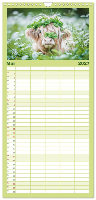 Schottische Hochland Rinder (CALVENDO Familienplaner 2027)