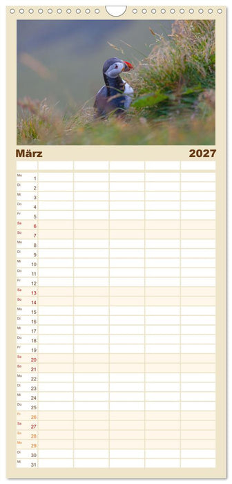 Naturwunder in Island (CALVENDO Familienplaner 2027)