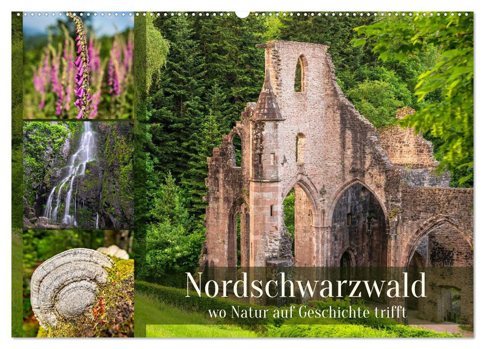 Nordschwarzwald - wo Natur auf Geschichte trifft (CALVENDO Wandkalender 2027)