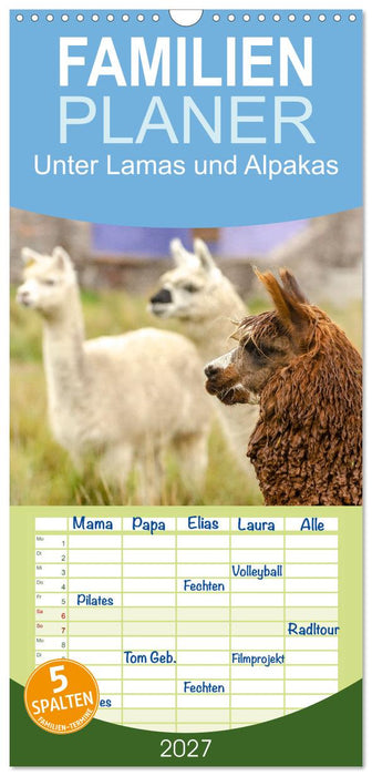 Unter Lamas und Alpakas (CALVENDO Familienplaner 2027)