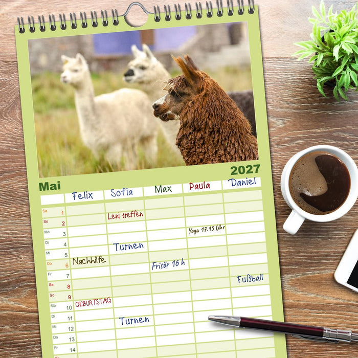 Unter Lamas und Alpakas (CALVENDO Familienplaner 2027)