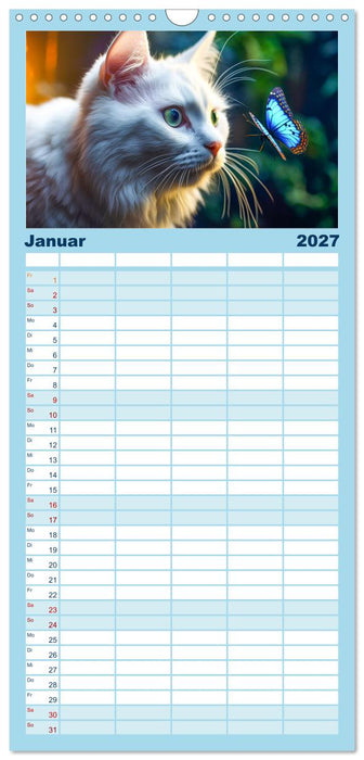Die Katze und der Schmetterling (CALVENDO Familienplaner 2027)
