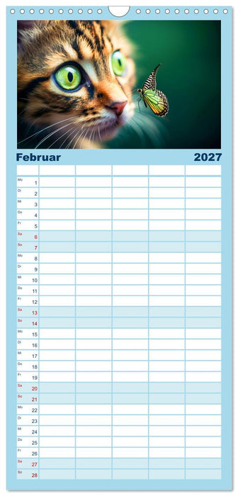 Die Katze und der Schmetterling (CALVENDO Familienplaner 2027)