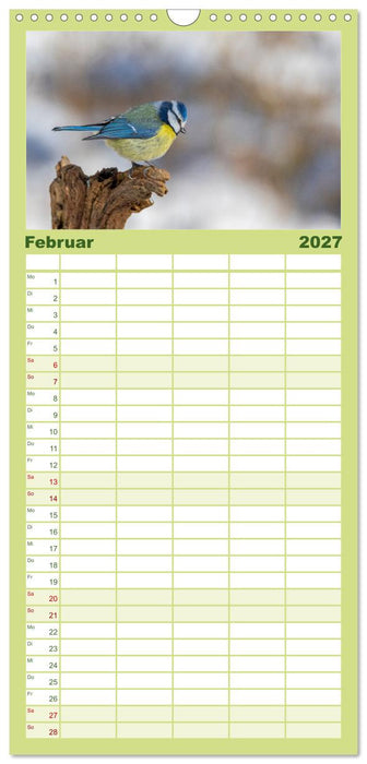 Der Kernbeißer und seine gefiederten Gesellen (CALVENDO Familienplaner 2027)