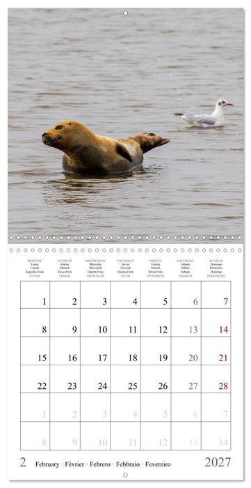 A Journey Through Germany (CALVENDO Monthly Calendar 2027)