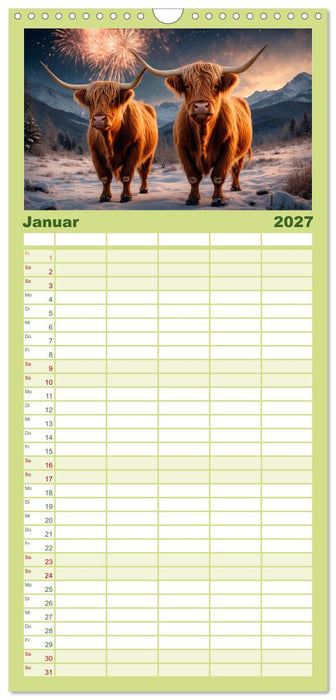 Highland Kühe (CALVENDO Familienplaner 2027)
