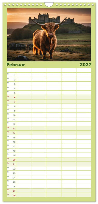 Highland Kühe (CALVENDO Familienplaner 2027)
