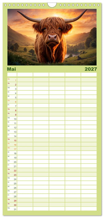 Highland Kühe (CALVENDO Familienplaner 2027)