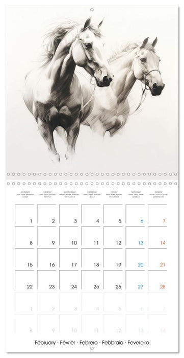 Élégance équine (CALVENDO Calendrier mensuel 2027)