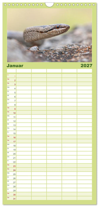 Schlangen - Portraits europäischer Arten (CALVENDO Familienplaner 2027)
