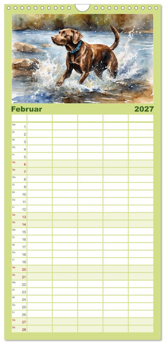 Voller Kraft und Energie - Labrador-Retriever (CALVENDO Familienplaner 2027)