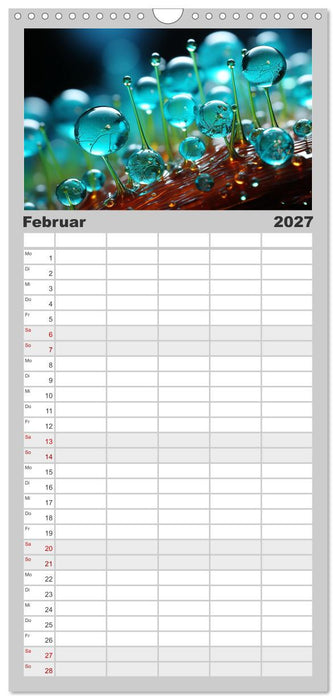 Wunderwelt Mikrokosmos (CALVENDO Familienplaner 2027)