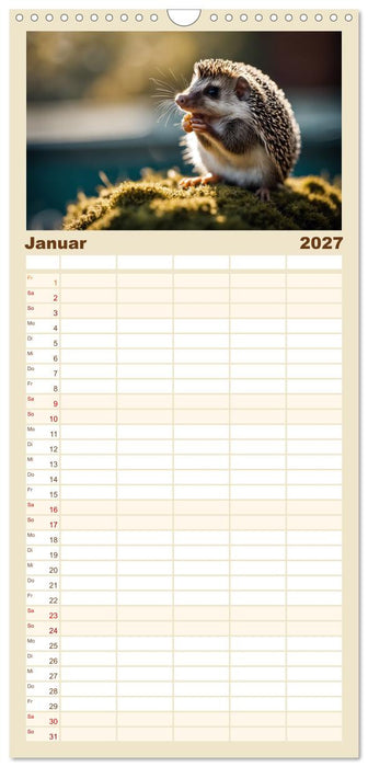Igel - Wildtier des Jahres 2024 (CALVENDO Familienplaner 2027)