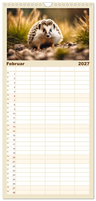 Igel - Wildtier des Jahres 2024 (CALVENDO Familienplaner 2027)