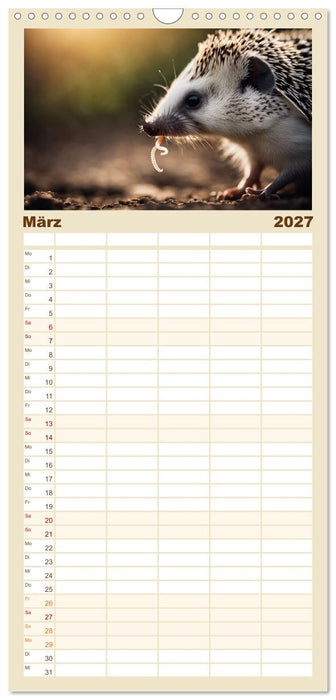 Igel - Wildtier des Jahres 2024 (CALVENDO Familienplaner 2027)