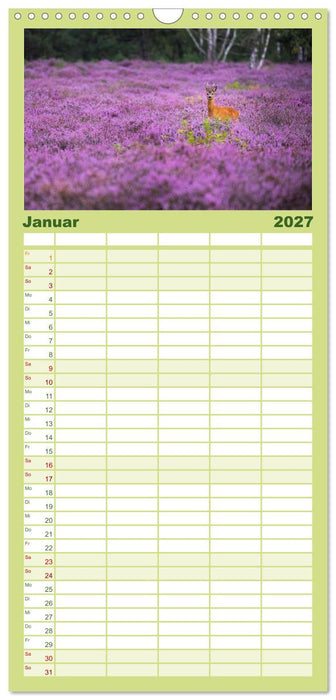 Romantische Heideblüte (CALVENDO Familienplaner 2027)