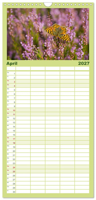 Romantische Heideblüte (CALVENDO Familienplaner 2027)