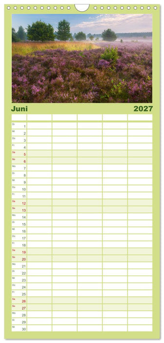 Romantische Heideblüte (CALVENDO Familienplaner 2027)