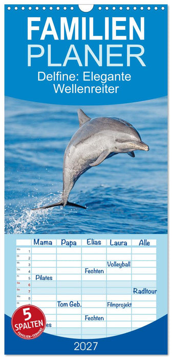 Delfine: Elegante Wellenreiter (CALVENDO Familienplaner 2027)