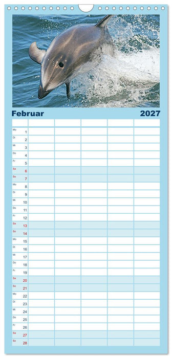 Delfine: Elegante Wellenreiter (CALVENDO Familienplaner 2027)