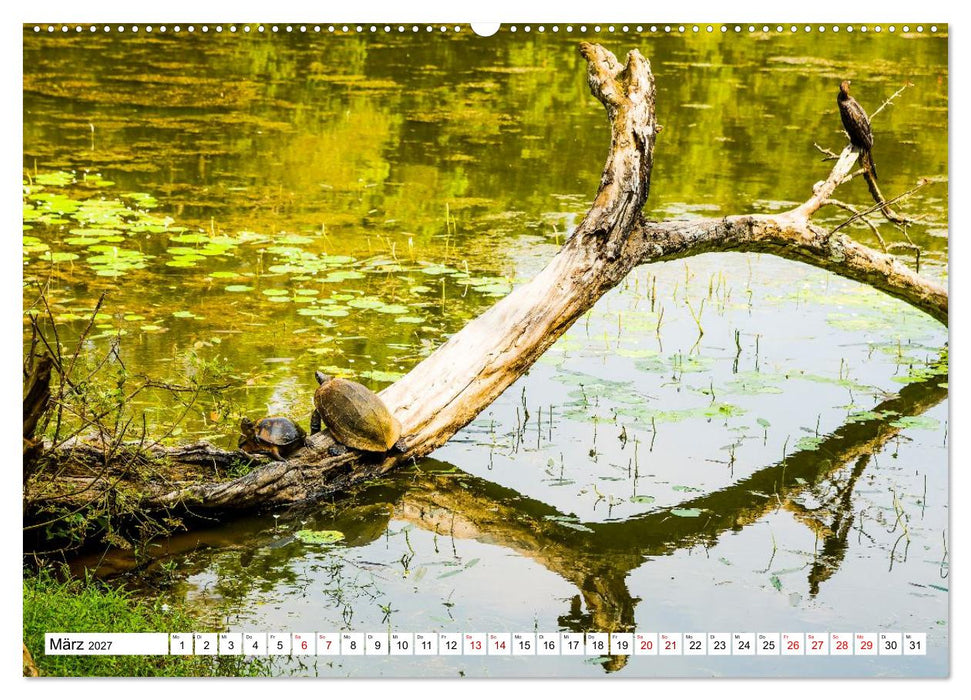 SRI LANKA Magische Nationalparks (CALVENDO Wandkalender 2027)