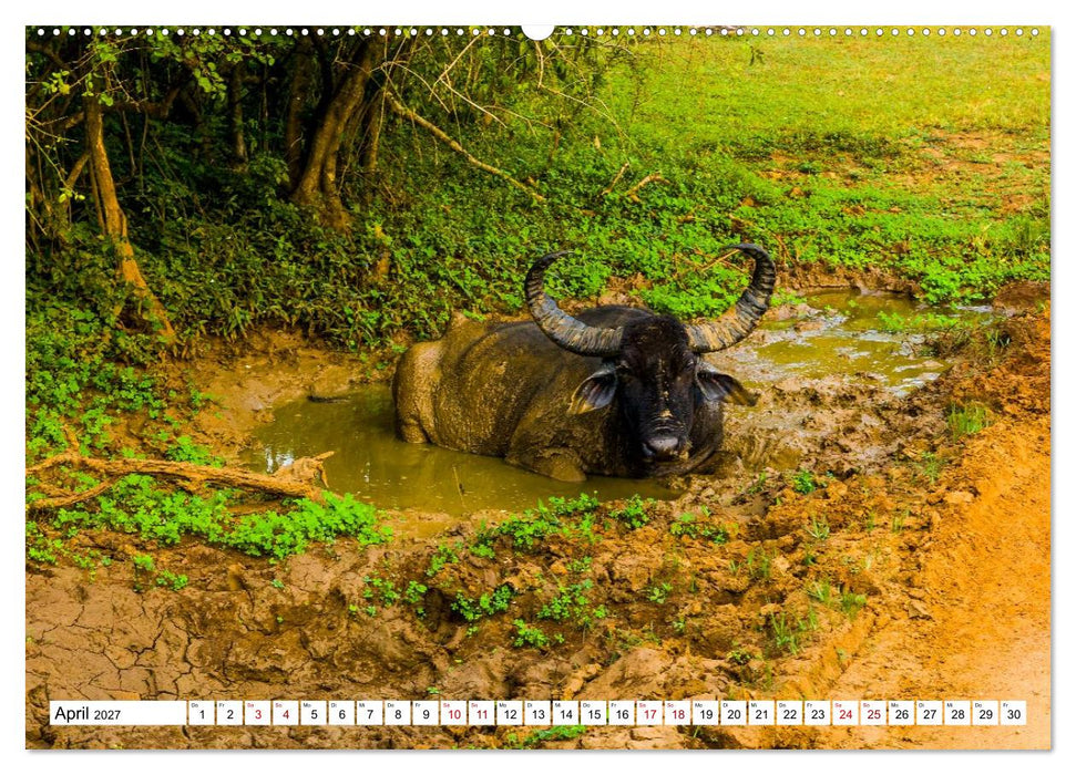 SRI LANKA Magische Nationalparks (CALVENDO Wandkalender 2027)