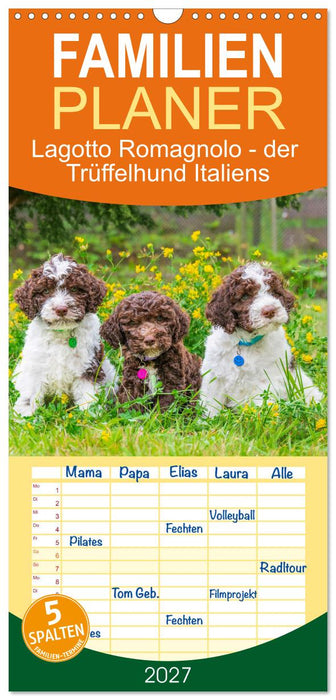 Lagotto Romagnolo - der Trüffelhund Italiens (CALVENDO Familienplaner 2027)