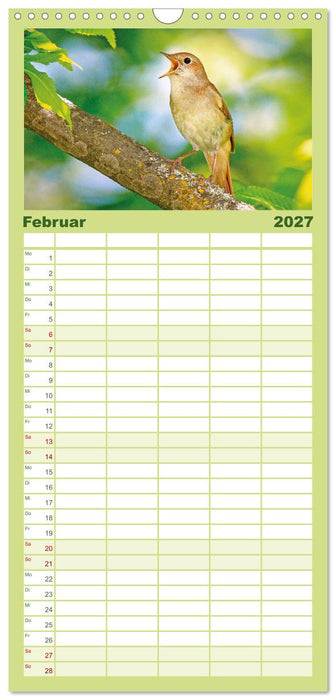 Amsel, Fink und Star: Heimische Vögel (CALVENDO Familienplaner 2027)