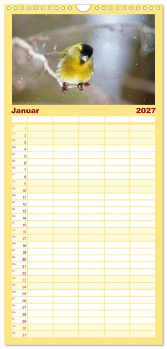 Erlenzeisige (CALVENDO Familienplaner 2027)