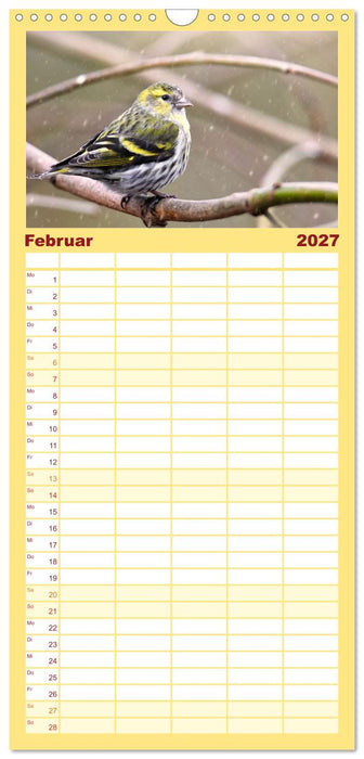 Erlenzeisige (CALVENDO Familienplaner 2027)
