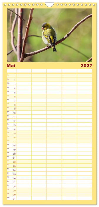 Erlenzeisige (CALVENDO Familienplaner 2027)