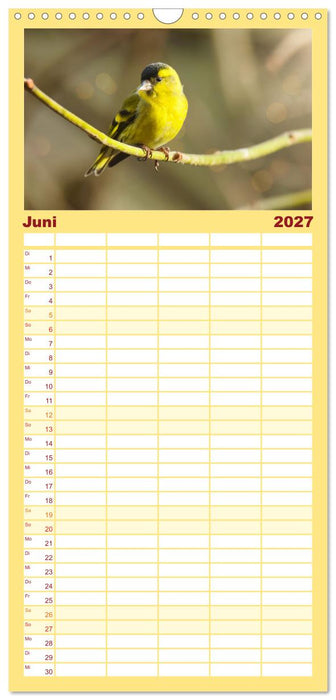 Erlenzeisige (CALVENDO Familienplaner 2027)