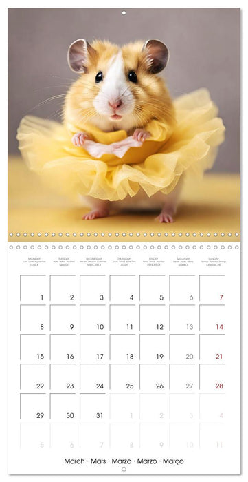 Cute AI hamsters in ballet dresses (CALVENDO Monthly Calendar 2027)
