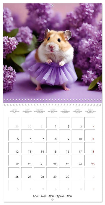 Cute AI hamsters in ballet dresses (CALVENDO Monthly Calendar 2027)