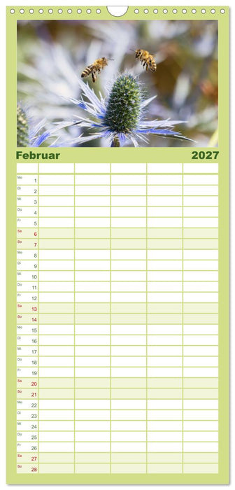 Die Wunderwelt der Biene (CALVENDO Familienplaner 2027)