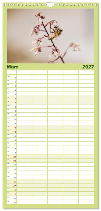 Die Wunderwelt der Biene (CALVENDO Familienplaner 2027)
