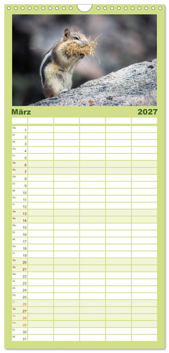 Wildtierkalender (CALVENDO Familienplaner 2027)