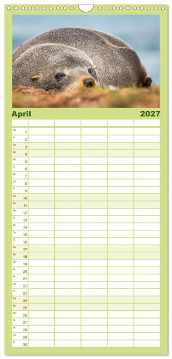 Wildtierkalender (CALVENDO Familienplaner 2027)