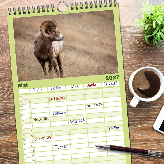 Wildtierkalender (CALVENDO Familienplaner 2027)