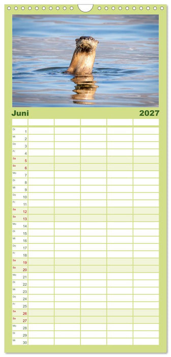 Wildtierkalender (CALVENDO Familienplaner 2027)