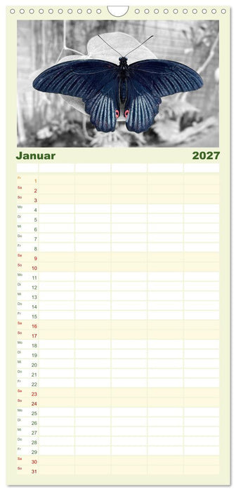 Geflügelte Schönheiten der Tropen (CALVENDO Familienplaner 2027)