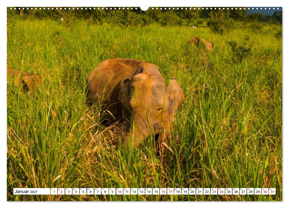 SRI LANKA Magische Nationalparks (CALVENDO Premium Wandkalender 2027)